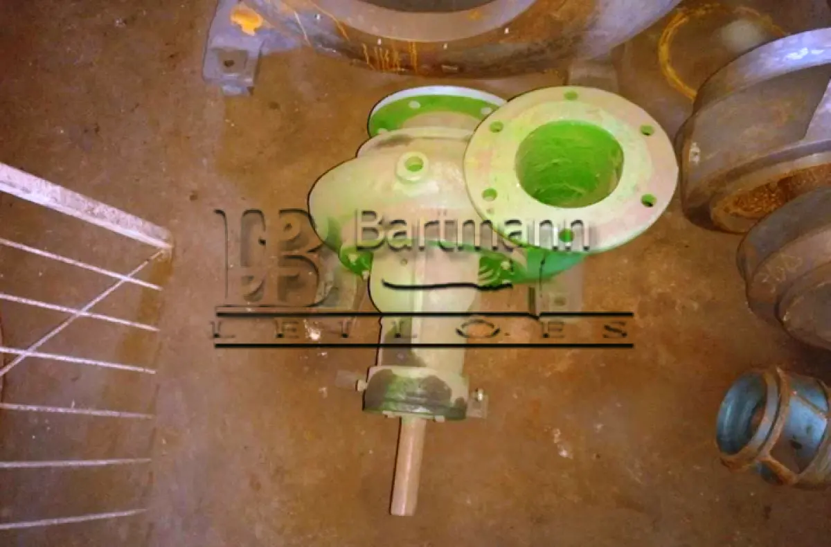 LOTE 001 - Bomba de irrigação