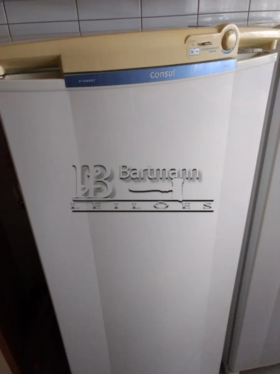 LOTE 004 - Freezer vertical