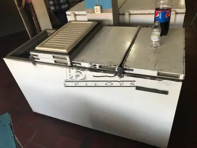 LOTE 003 - 1freezer horizontais / Prosdócimo