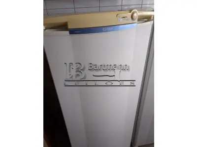 LOTE 004 - Freezer vertical