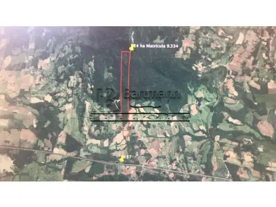 LOTE 001 - 01 Hectare Paraíso